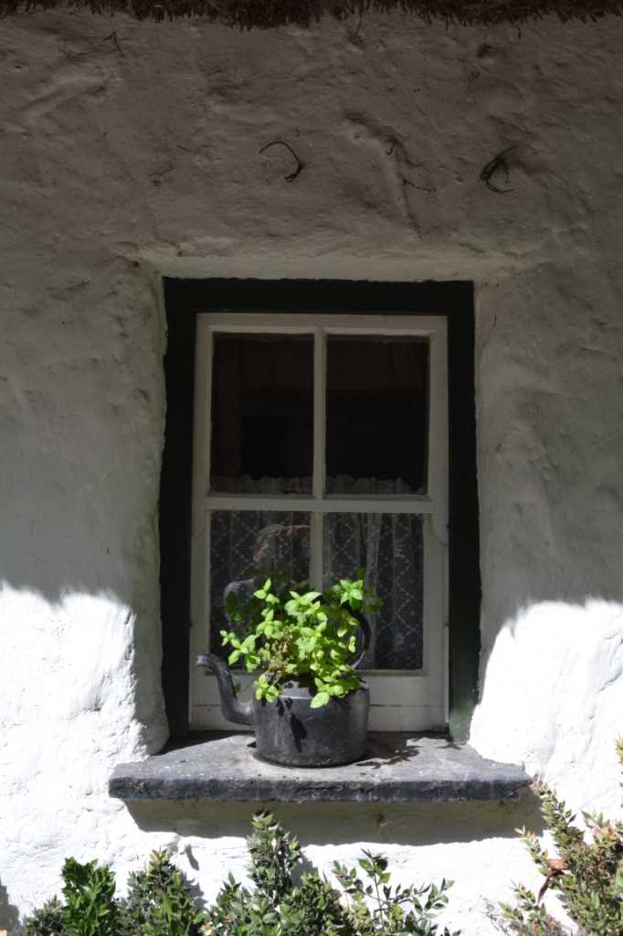 DSC_5526Mittel_.JPG